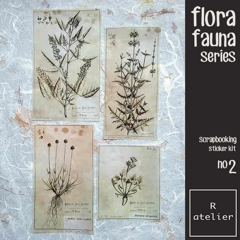 Flora Fauna Botanical Series | Scrapbooking Washi Stickers