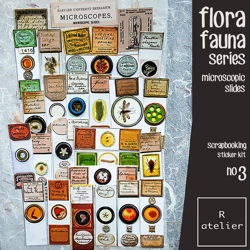 Flora Fauna Microscropic Slides | Scrapbooking Stickers