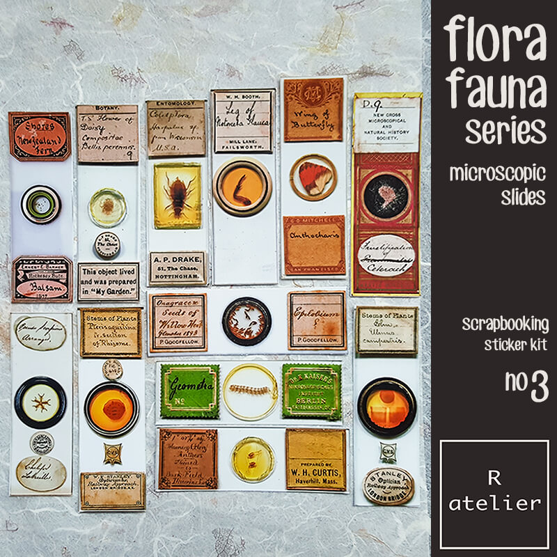 Flora Fauna Microscropic Slides | Scrapbooking Stickers