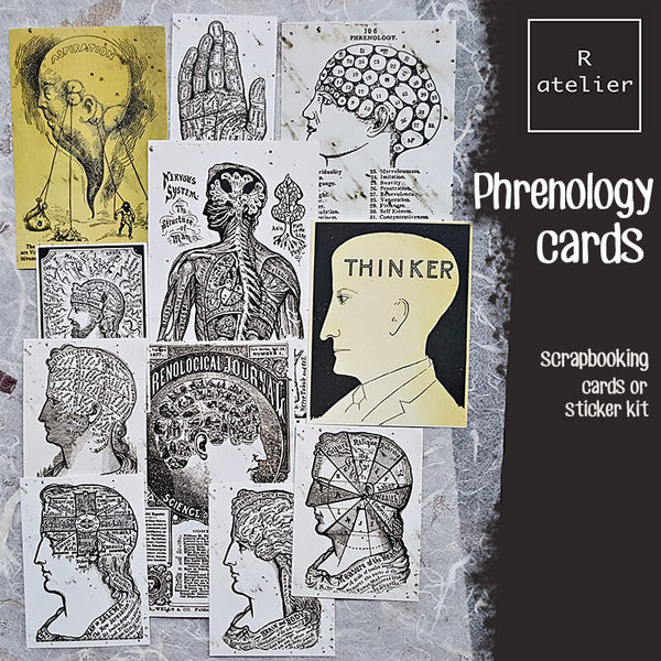 Phrenology Scrapbooking Cards and Stickers Ephemera Kit