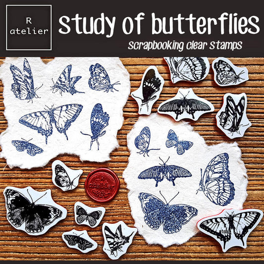 study of butterflies Scrapbooking Cling Stamps