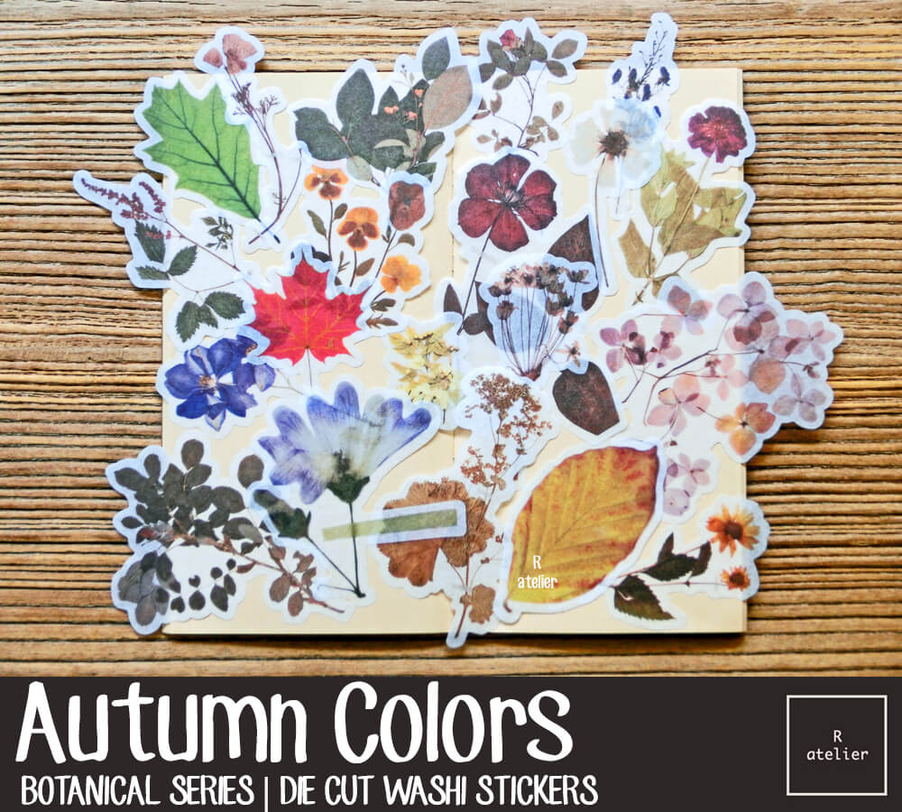 Autumn Colors | Die Cut Washi Stickers