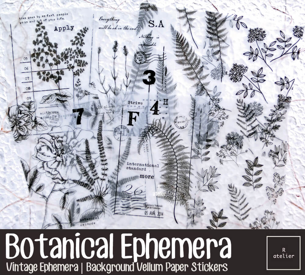 Botanical Ephemera | Background Vellum Paper Stickers