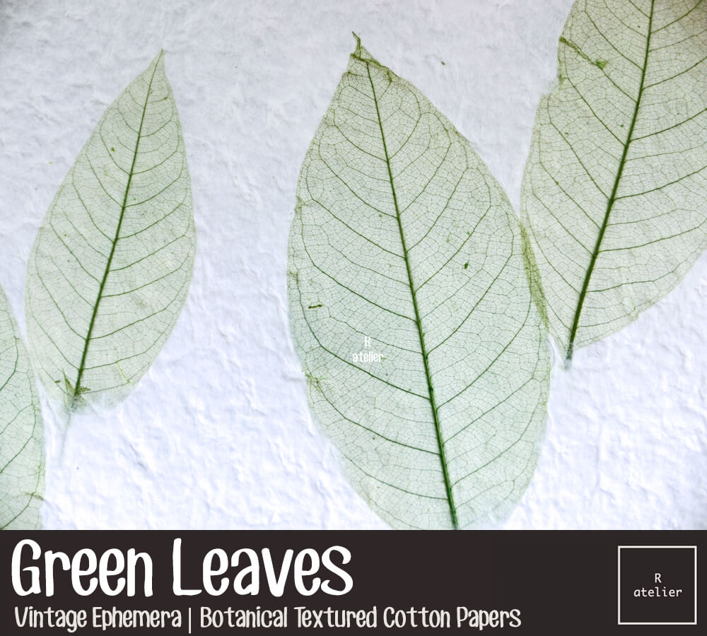 Green Leaves | Botanical Textured Cotton Papers