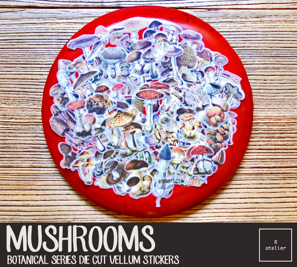 Mushrooms | Die Cut Vellum Stickers
