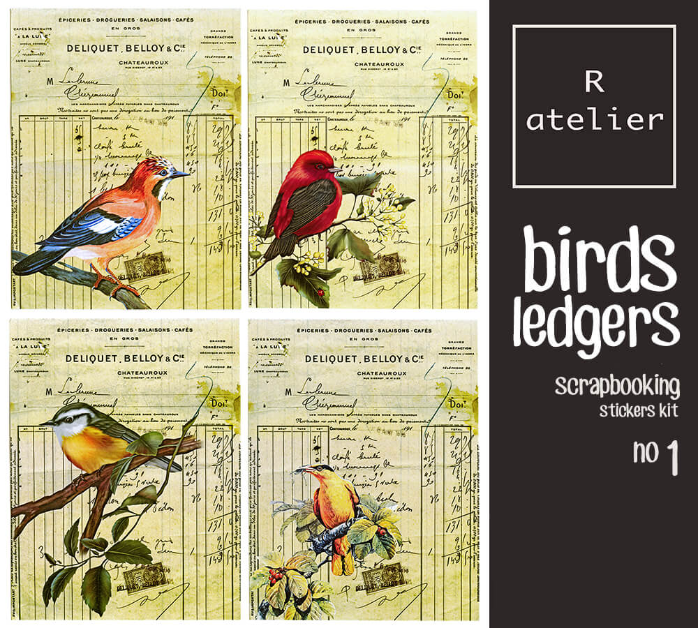Parrots Ledgers | Scrapbooking Washi Stickers