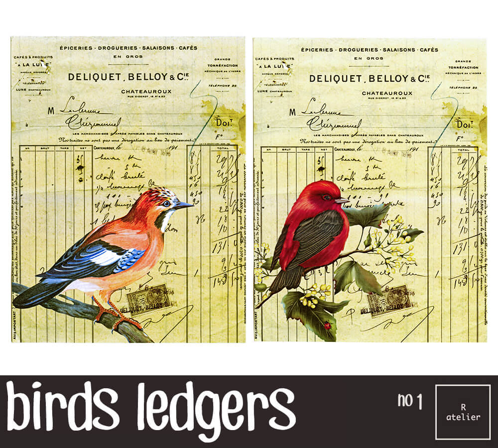 Tropical Birds | Scrapbooking Washi Stickers