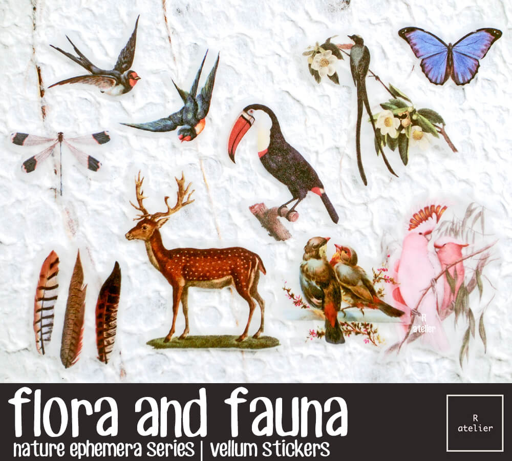 Nature Inspired Flora Fauna Scrapbooking Vellum Stickers