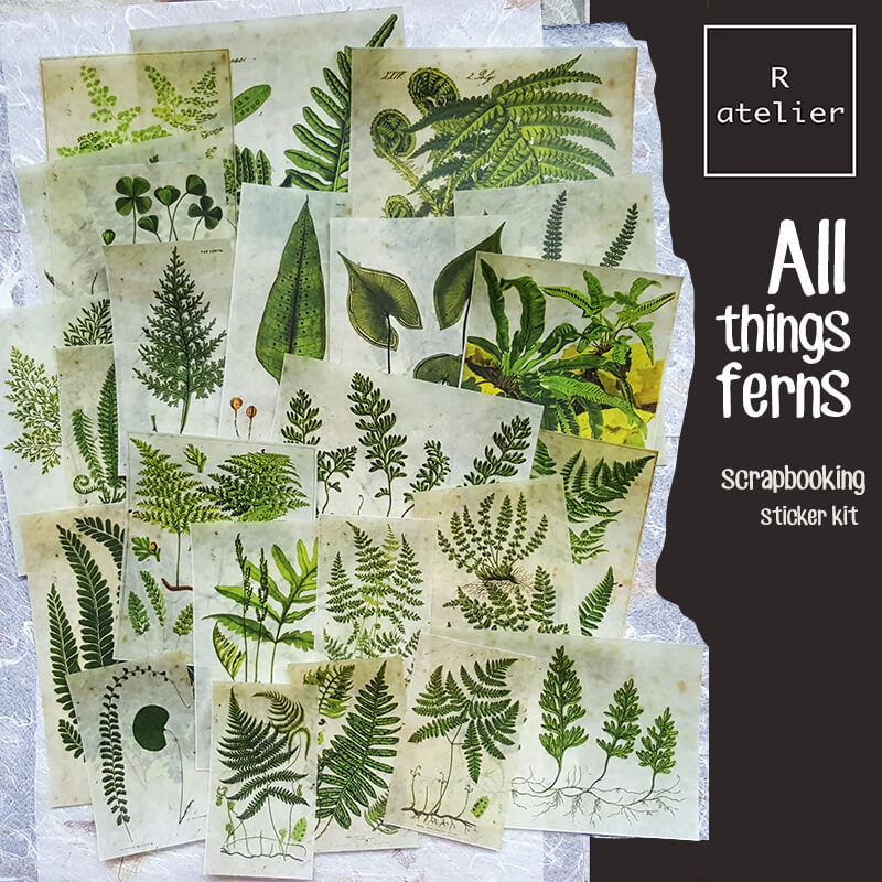 All Things Ferns Scrapbooking Stickers