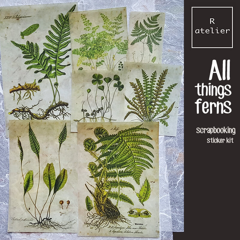 All Things Ferns Scrapbooking Stickers