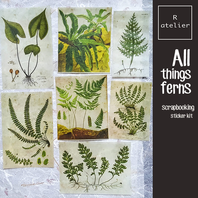 All Things Ferns Scrapbooking Stickers