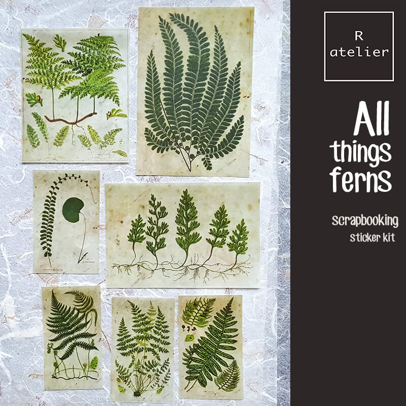 All Things Ferns Scrapbooking Stickers