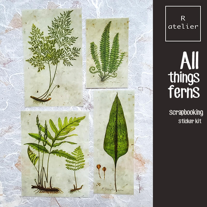 All Things Ferns Scrapbooking Stickers