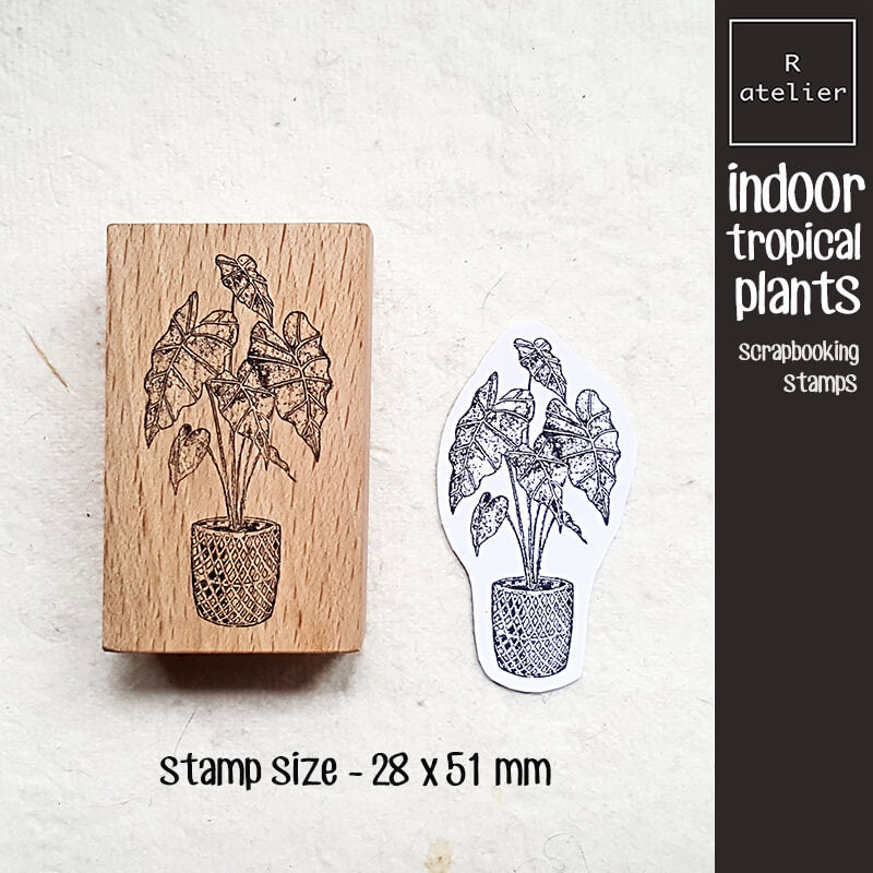 Indoor Tropical Alocasia Anthurium Begonia Plants Scrapbooking Wooden Stamp