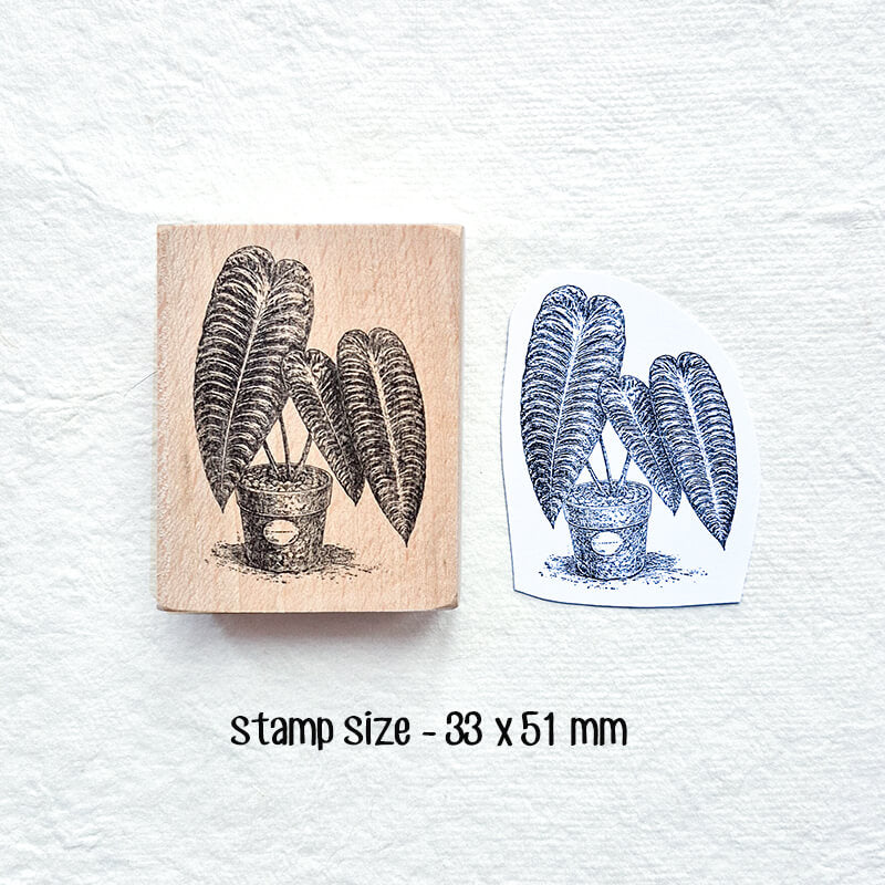 Tropical Indoor Aroids Plants Scrapbooking Wooden Stamp