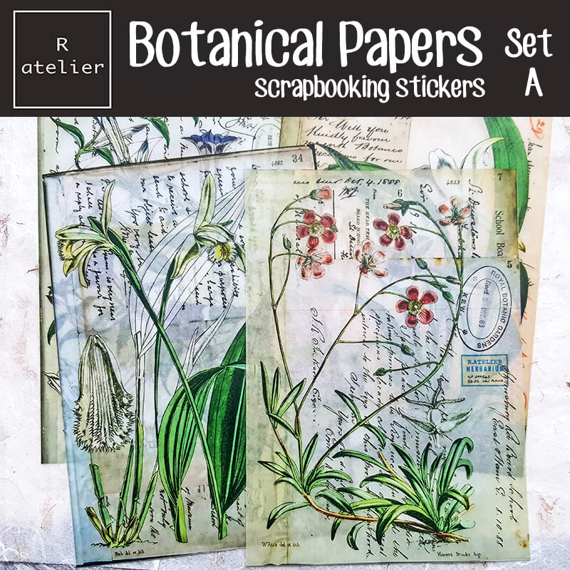 Botanical Papers Floral Botany Scrapbooking Washi Stickers