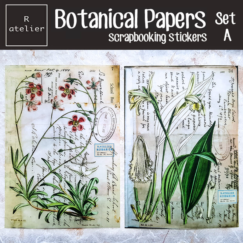 Botanical Papers Floral Botany Scrapbooking Washi Stickers