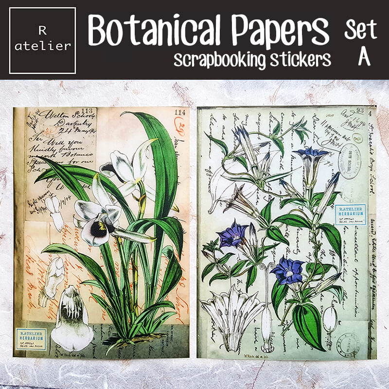 Botanical Papers Floral Botany Scrapbooking Washi Stickers