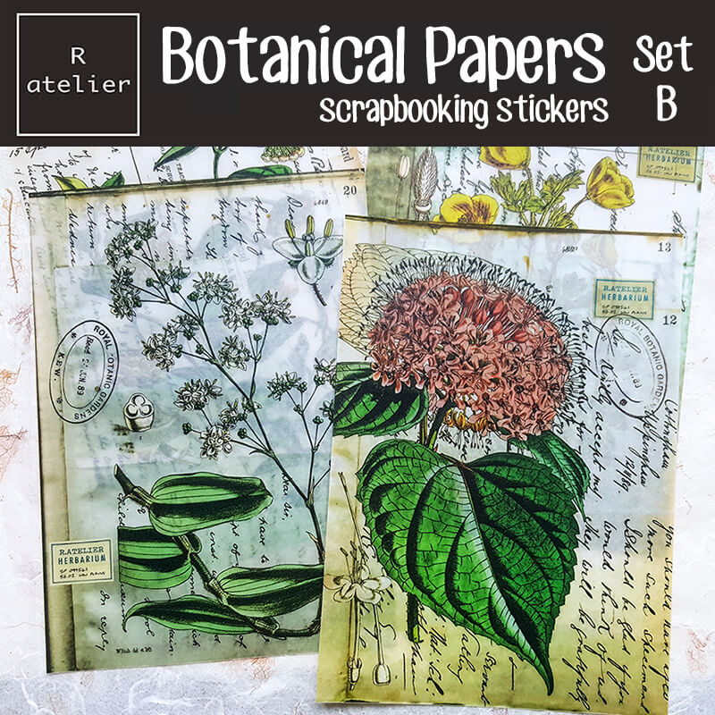 Botanical Papers Floral Botany Scrapbooking Washi Stickers