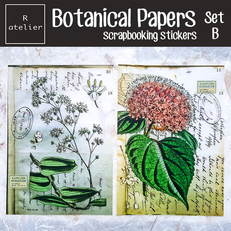 Botanical Papers Floral Botany Scrapbooking Washi Stickers