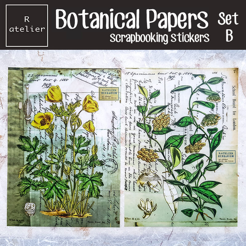 Botanical Papers Floral Botany Scrapbooking Washi Stickers