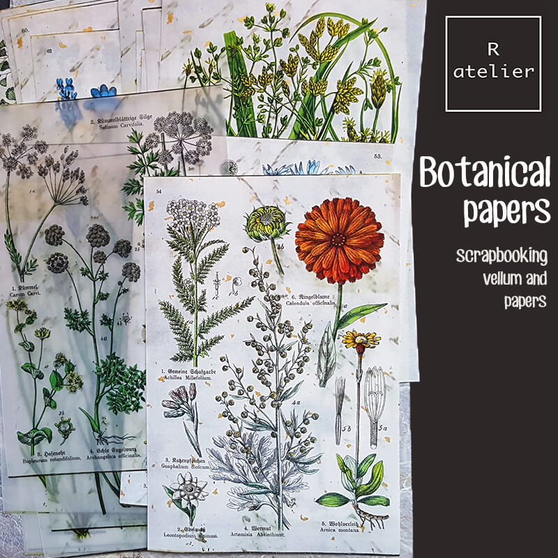 Botanical Scrapbooking Paper Ephemera Kit