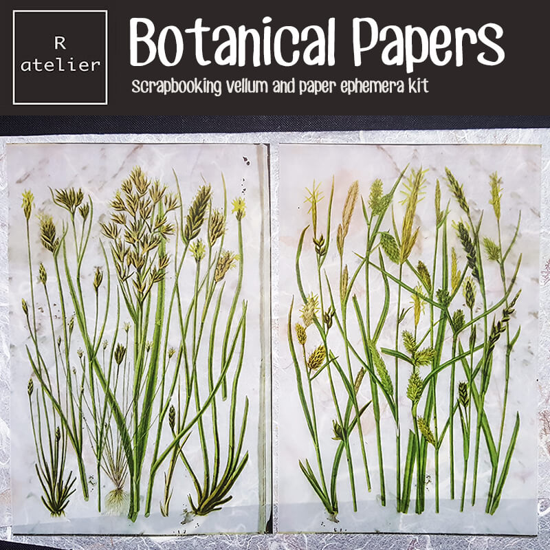 Botanical Scrapbooking Paper Ephemera Kit