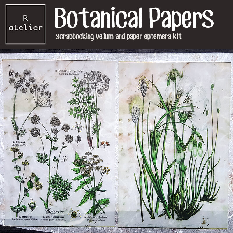 Botanical Scrapbooking Paper Ephemera Kit