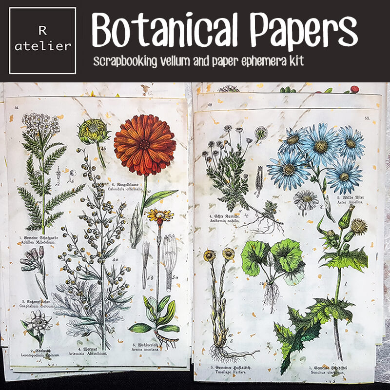 Botanical Scrapbooking Paper Ephemera Kit