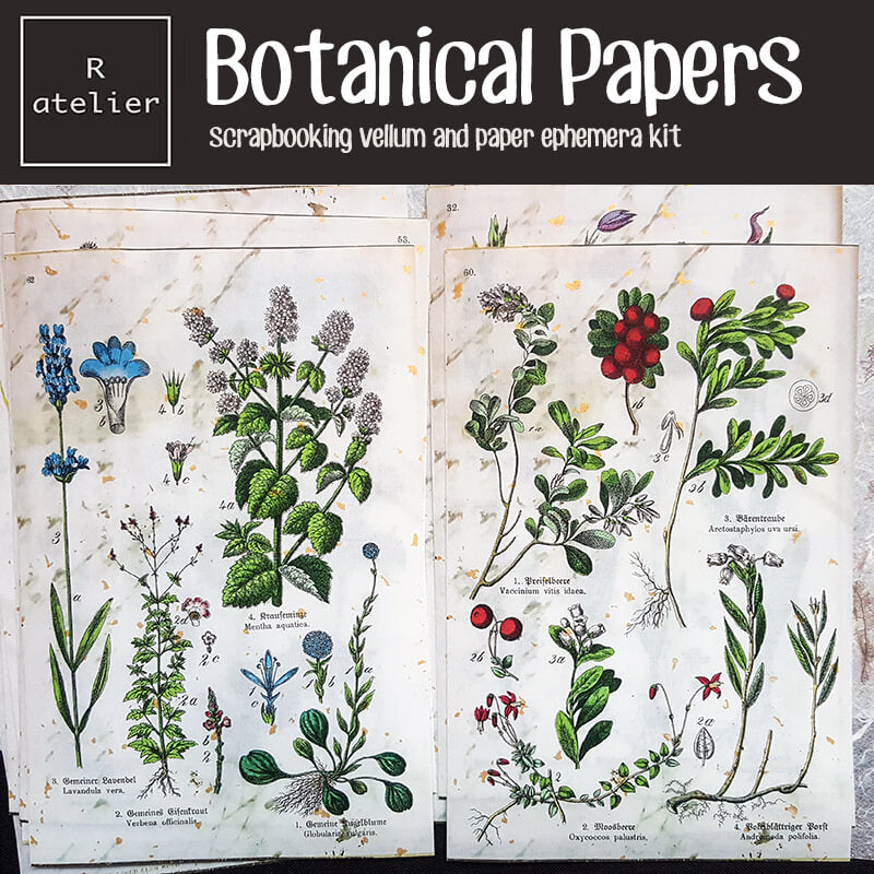 Botanical Scrapbooking Paper Ephemera Kit