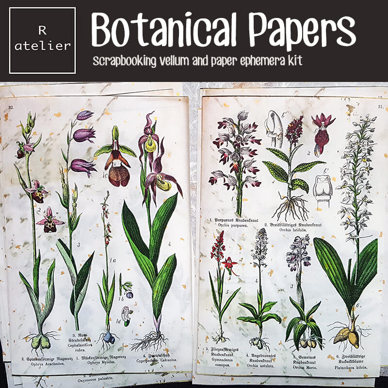 Botanical Scrapbooking Paper Ephemera Kit