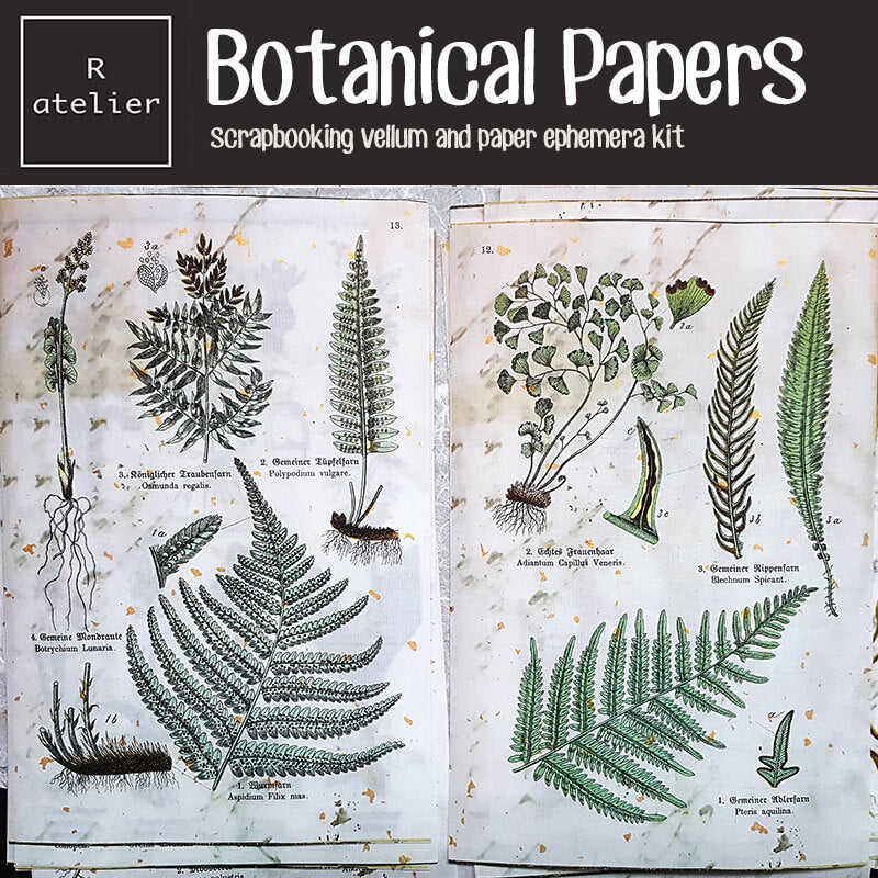 Botanical Scrapbooking Paper Ephemera Kit