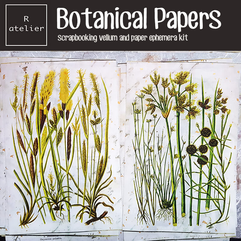 Botanical Scrapbooking Paper Ephemera Kit