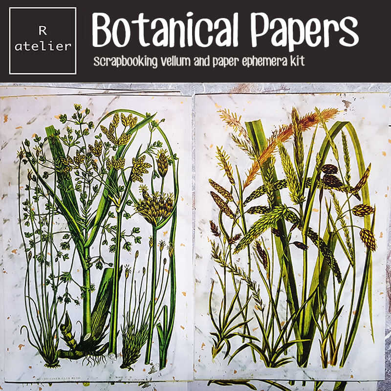 Botanical Scrapbooking Paper Ephemera Kit