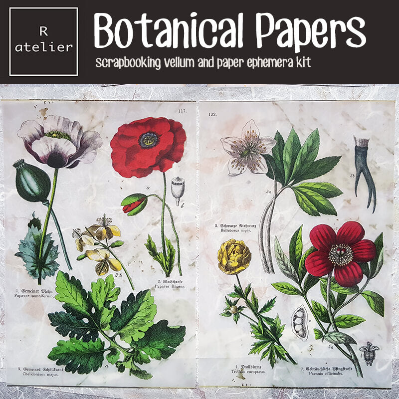 Botanical Scrapbooking Paper Ephemera Kit