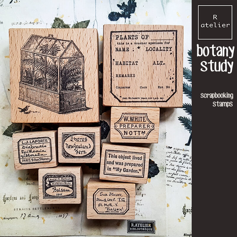 Botany Study Microscopic Specimen Plant Label Scrapbooking Wooden Stamp