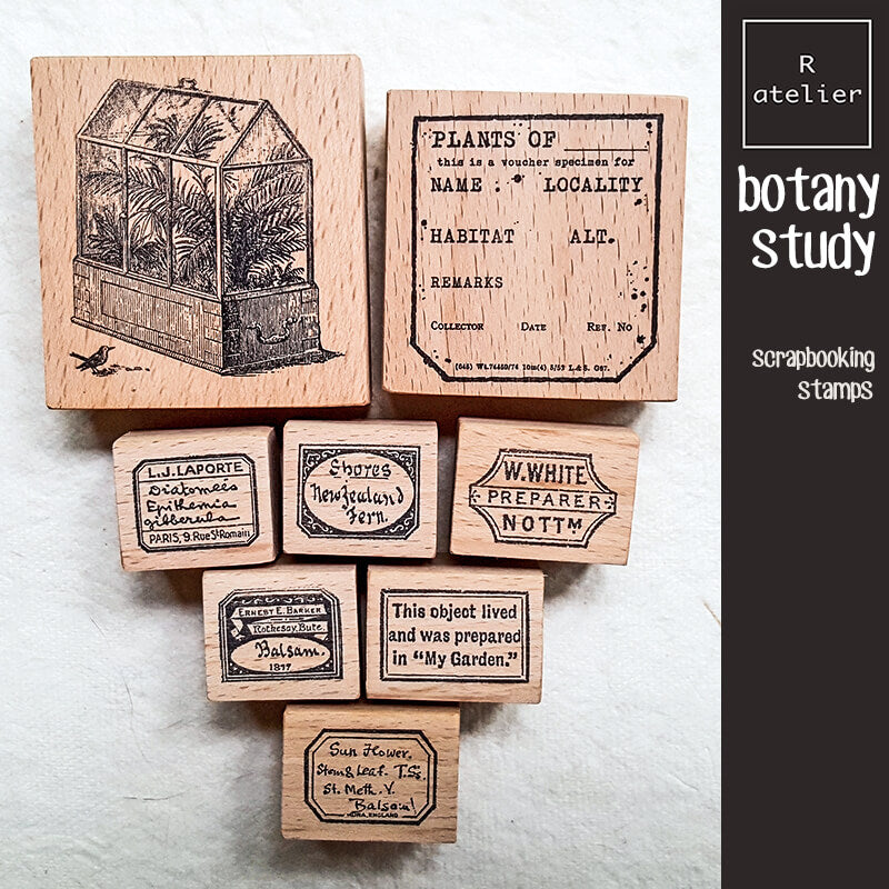 Botany Study Microscopic Specimen Plant Label Scrapbooking Wooden Stamp