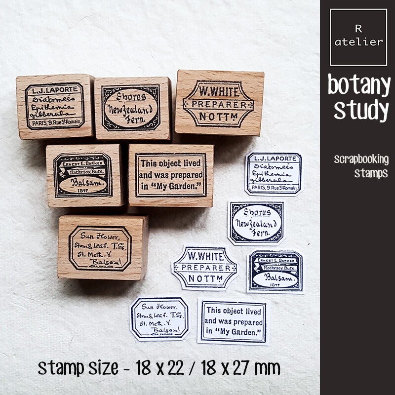 Botany Study Microscopic Specimen Plant Label Scrapbooking Wooden Stamp