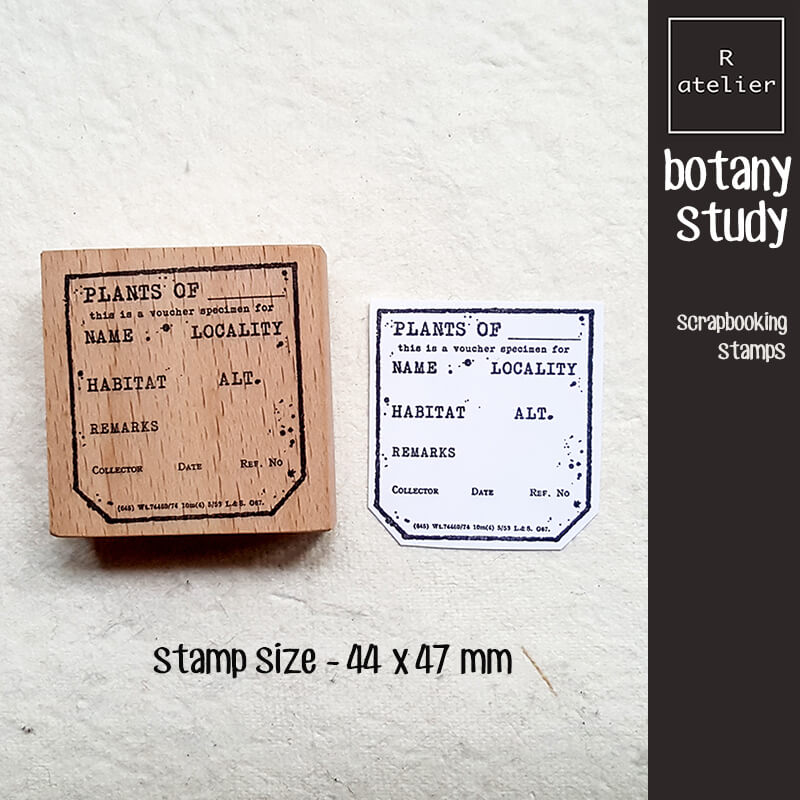 Botany Study Microscopic Specimen Plant Label Scrapbooking Wooden Stamp