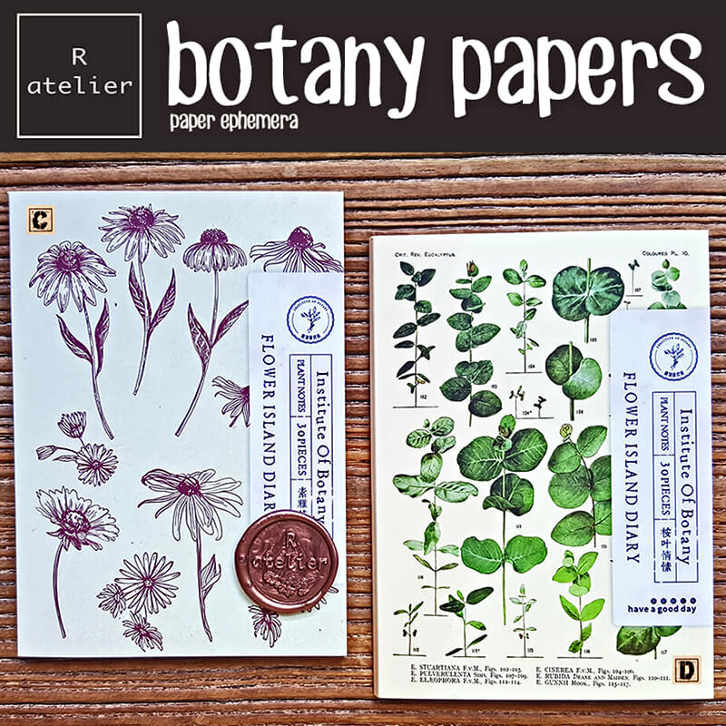 Botany Papers | Scrapbooking Paper Ephemera Book