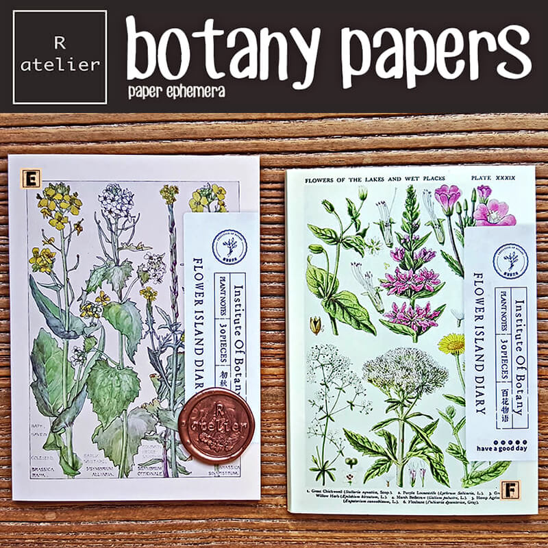 Botany Papers | Scrapbooking Paper Ephemera Book