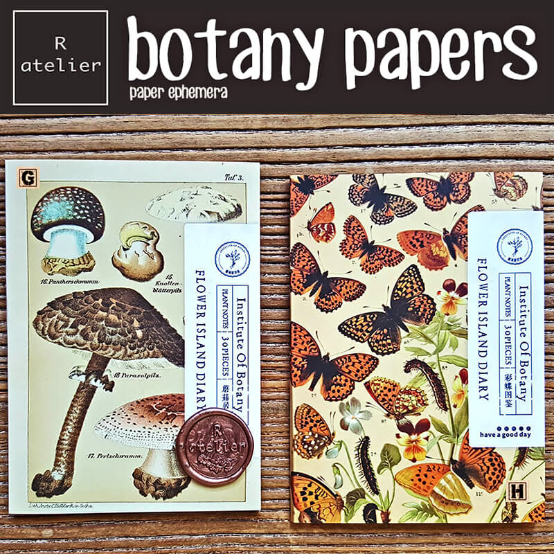 Botany Papers | Scrapbooking Paper Ephemera Book