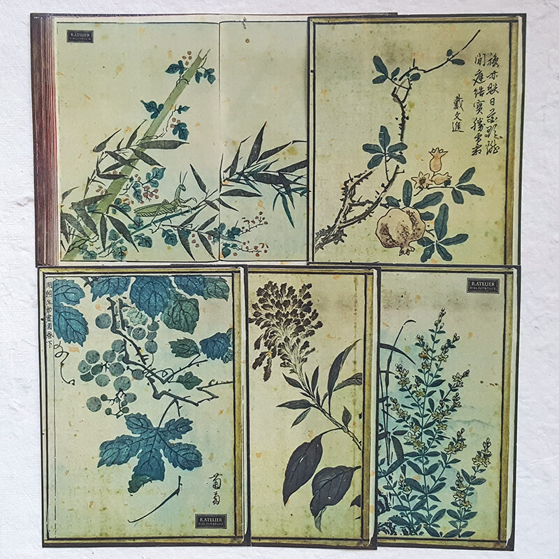 Chinoiserie Botanical Ephemera Junk Journal Scrapbooking Box