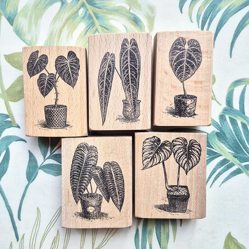 Tropical Indoor Aroids Plants Scrapbooking Wooden Stamp