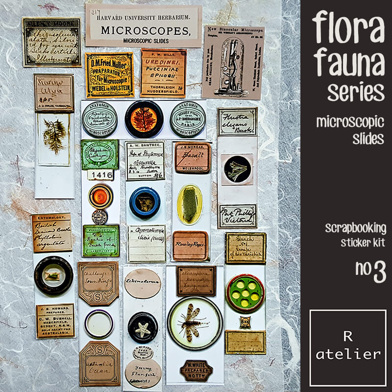 Flora Fauna Microscropic Slides | Scrapbooking Stickers 