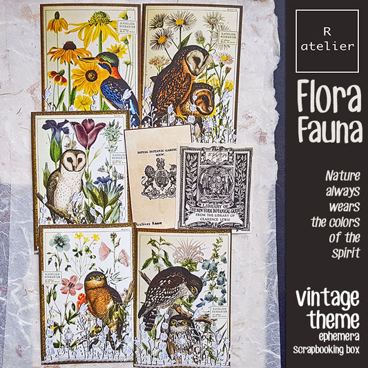 Flora and Fauna Ephemera Scrapbooking Box