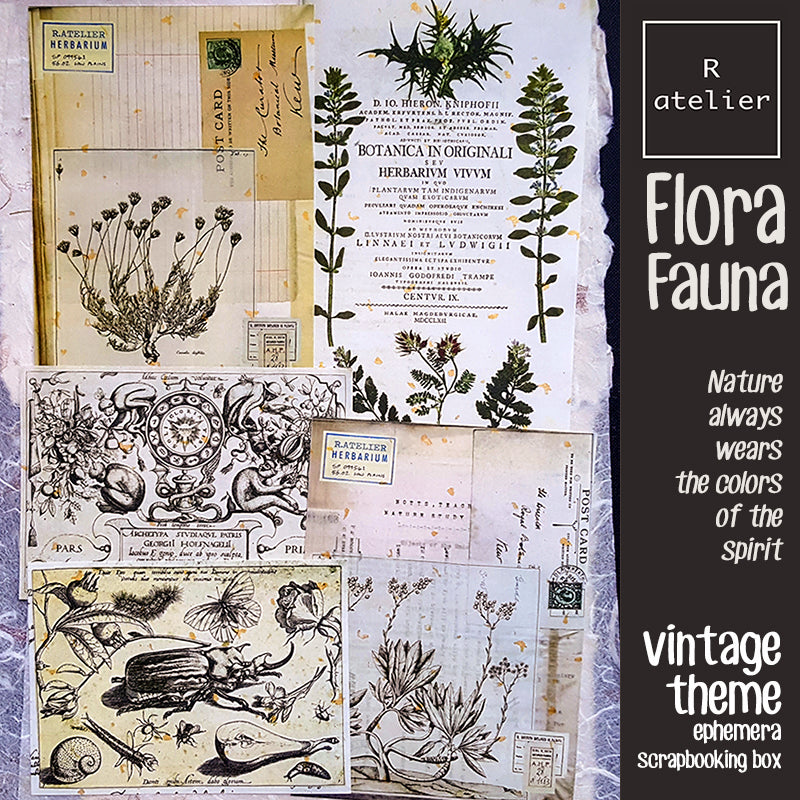 Flora and Fauna Ephemera Scrapbooking Box