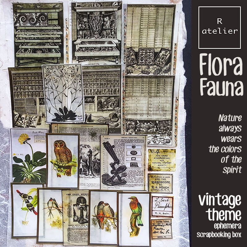 Flora and Fauna Ephemera Scrapbooking Box