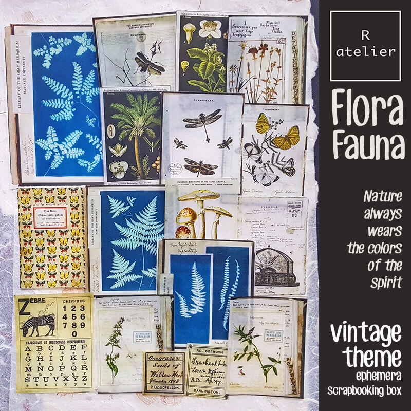 Flora and Fauna Ephemera Scrapbooking Box