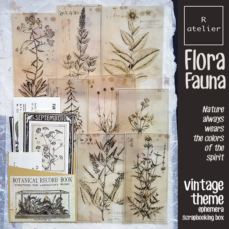 Flora and Fauna Ephemera Scrapbooking Box